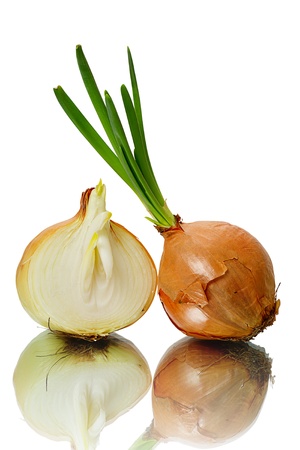 Sprouting onions isolated on white backgroundの写真素材