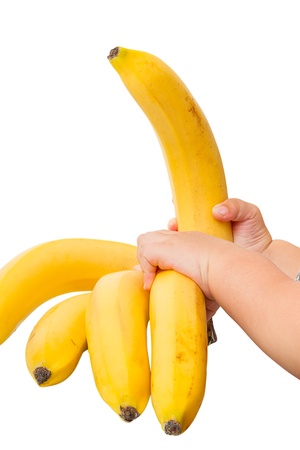 Child opens one of the branches of a banana isolated on white backgroundの写真素材