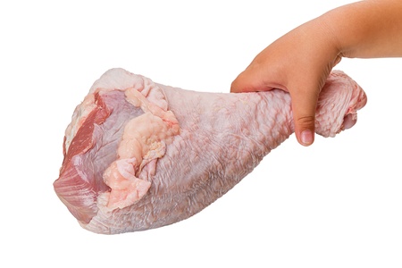 Hand the child a raw turkey leg. Isolated on white backgroundの写真素材