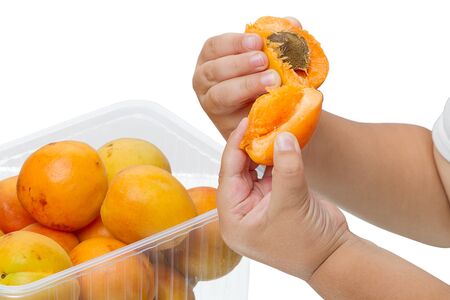 Hands of a child with apricot isolated on white backgroundの写真素材