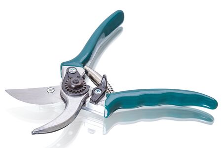 Pruning Shears isolated on white backgroundの写真素材
