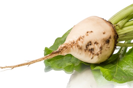 Sugar beet  isolated on white backgroundの写真素材