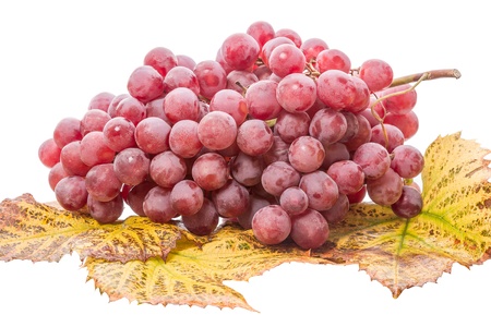Red grapes on leaves  Isolated on white background	の写真素材