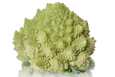 Fresh Romanesco Broccoli  isolated on white background の写真素材
