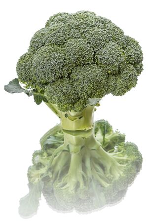 Fresh broccoli isolated on white background の写真素材
