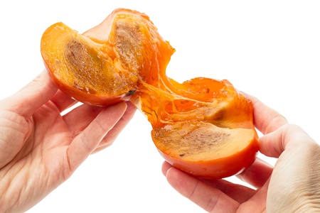 Ripe persimmon in hand isolated on white backgroundの写真素材