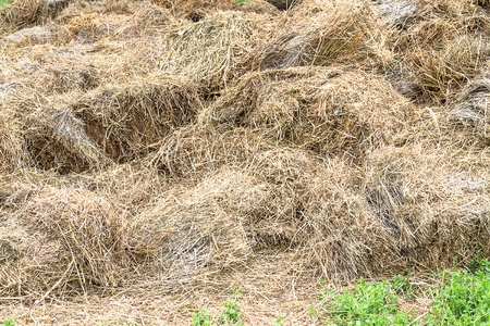 A pile of dry hay. Naturel background