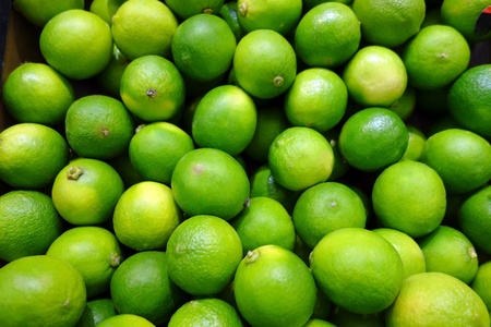 Background from fresh lime. Nature foodの写真素材
