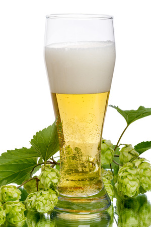 A glass of light beer and branch of hop isolated on white backgroundの写真素材