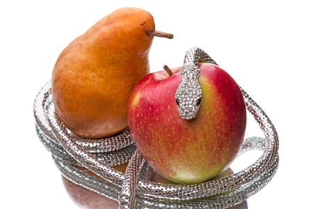 Silver metal snake for apples and pears  isolated on white の写真素材