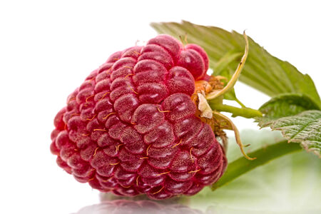 Raspberries close-up isolated on white background