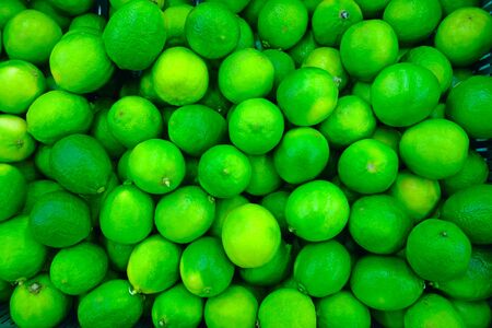 Background of  fresh  lime fruit. Nature foodの写真素材