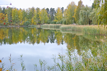 Beautiful Forest Lake on a summer day. The reflection in the water.の写真素材