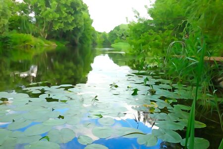 Forest on a summer day in the style of a watercolorの写真素材