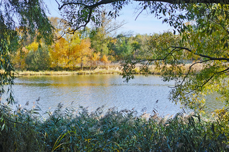 Sunny morning on a quiet river in early autumn. Medium format qualityの写真素材