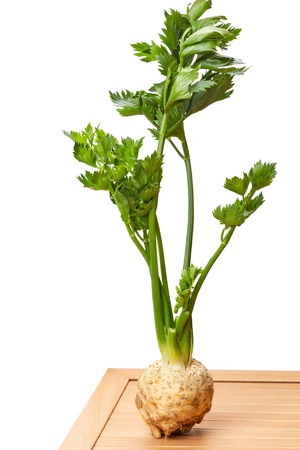 Celery plant isolated on white backgroundの写真素材