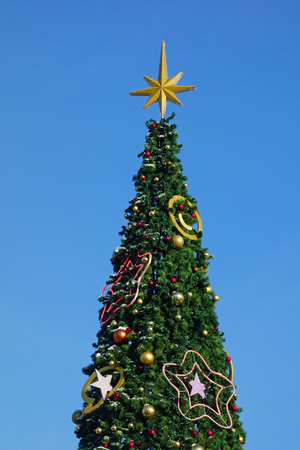 Big Christmas tree against the sky backgroundの写真素材