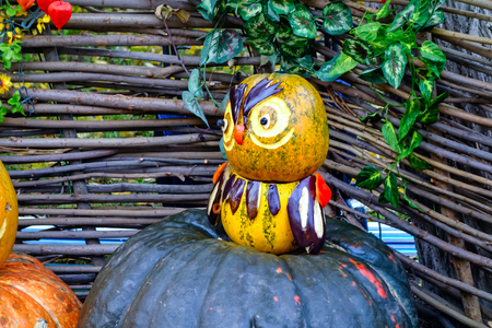 Comic owl figurine of pumpkin and vegetablesの写真素材
