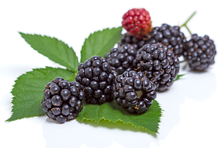 Ripe blackberry and green leaf on white backgroundの写真素材