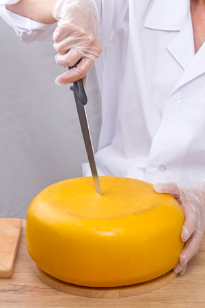 Hand in transparent gloves with a knife cuts the head of cheeseの写真素材