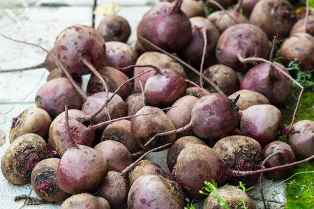 A bunch of red beets without tops outdoorsの写真素材