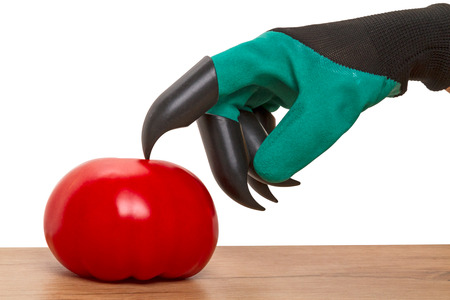 Hand in glove with plastic claws and tomato isolated on a white backgroundの写真素材