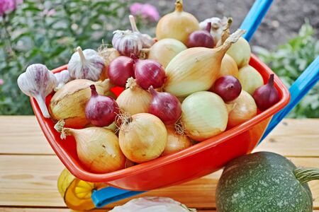 Trolley with Onion and Garlic top view