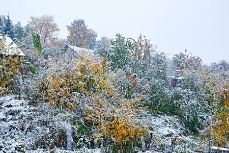 It's the first snow on a fall day in the villageの写真素材