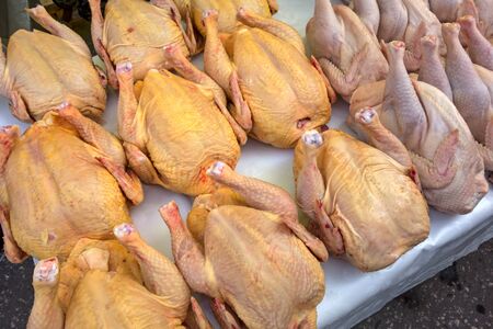 Fresh plucked chicken carcasses on the counterの写真素材