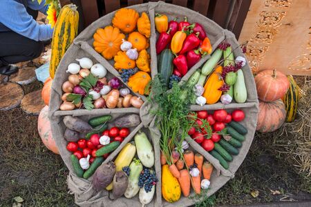 Autumn Still Life with Harvested Vegetables and Fruitsの写真素材