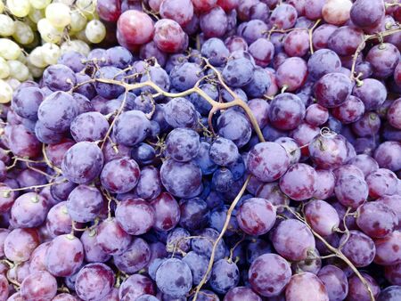 Ripe blue grapes. Nature backgroundの写真素材
