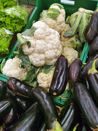 Cauliflower and eggplant on the counter. Nature Backgroundの写真素材