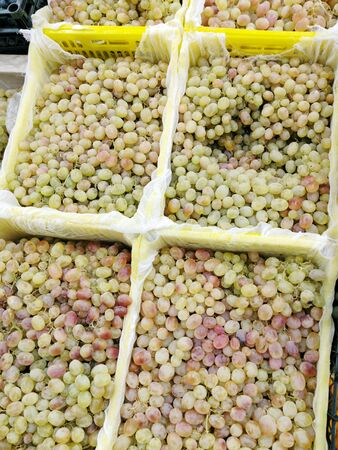 Grapes in a plastic box on the store shelfの写真素材