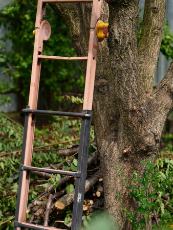 Metal step ladder is leaning against a tree trunk amidst freshly cut branches. Close-upの写真素材