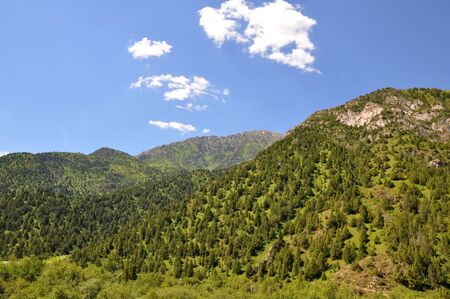 The beautiful view on the mountainsの写真素材