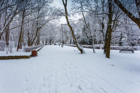 Beautiful winter scenery in Jelitkowo district in Gdansk, Polandの写真素材