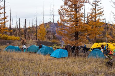 Kamchatka Peninsula, Russia- 28 September 2014: People and tents on the campsite in the dead forest...
