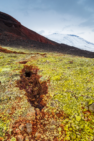 Volcanic landscape on the Kamchatka Peninsula in the far east of Russia. Green moss on black volcanic rock, snow-capped volcanoes in the background.の写真素材