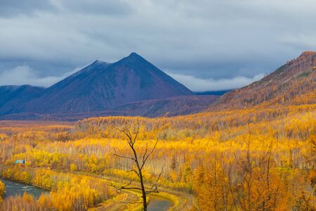Small river and canal, forest in autumn colors and mountains in the background. Bystrinsky District, Peninsula Kamchatka, Russia.の写真素材