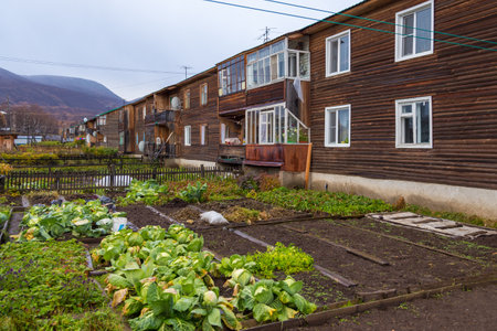 Esso, Kamchatka Peninsula, Russia- 02 October 2014: Wooden block of flats. Vegetables garden in front of. Small village in the center Kamchatka Peninsula.のeditorial素材
