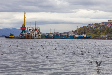 Petropavlovsk-Kamchatsky, Russia- 05 October 2014: View of harbor cranes and ships. Shipyard ans sea port on the Avacha Bay, Pacific Ocean. Industrial area.のeditorial素材