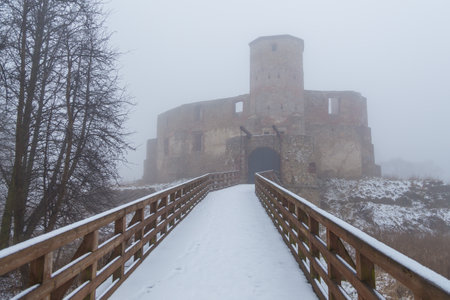 Siewierz, Poland- 01 January 2014: View of the Palace of Bishops, ruins of the Krakow bishops castle. Foggy, winter day.のeditorial素材