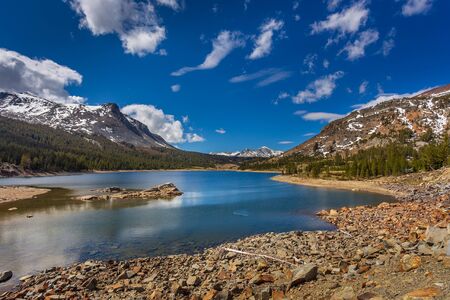 Ellery Lake in the western slopes of the Sierra Nevada Mountain, Yosemite National Park, California, USA.の写真素材