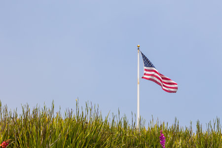 San Francisco, California, USA- 08 June 2015: American flag on the blue sky. A flourishing meadow in the foreground.のeditorial素材