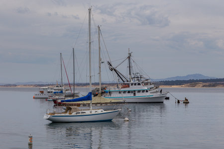 Monterey, California, USA - 09 June 2015: View of the Monterey Yacht Port. Exclusive yachts moored in the marina. Pacific Ocean Coast.のeditorial素材