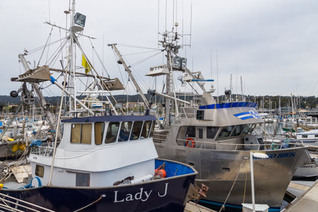 Monterey, California, USA - 09 June 2015: View of the Monterey Yacht Port. Exclusive yachts moored in the marina. Pacific Ocean Coast.のeditorial素材