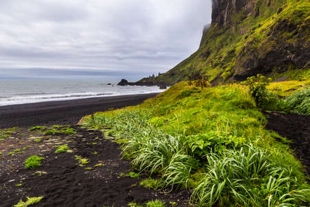 View of the black, volcanic beach in Vik and Myrdal, Iceland. Green grass and moss on the cliff slopes.の写真素材