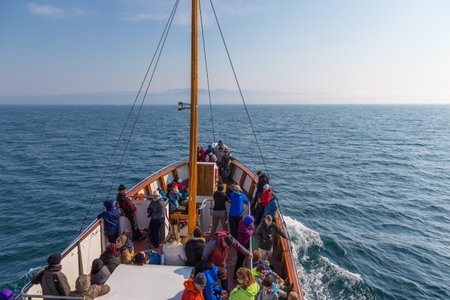 Husavik, Iceland- 25 August 2015: Tourists on board the boat in the Greenland Sea during whale watching.のeditorial素材