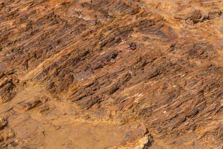 Sandstone surface with a brown tint covered with a thin layer of water, sea bottom. Background....