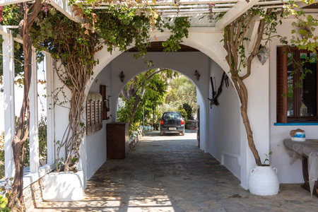 Chora, Folegandros Island, Greece- 23 September 2020: Traditional Greek white architecture in the center of Chora. Garden with palm trees and vine.のeditorial素材